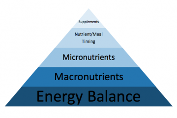 Nutrition and a way you Can get it right / Hierarchy /  